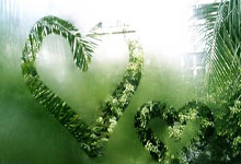 问鼎娱乐-风云突变！奥兰多魔术今晚手感冰凉；全明星赛版图或变；信心回归；细节决定成败的简单介绍